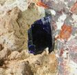 Large, Azurite Crystal on Druzy Quartz - Morocco #74686-2
